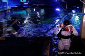 Alamat dari gedung juang 45 sendiri berada di kecamatan tambun selatan, kabupaten bekasi provinsi jawa barat. Harga Tiket Masuk Sea World Ancol Periode 1 30 September 2020 Cocok Untuk Liburan