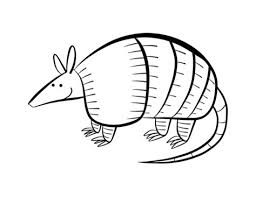 The armadillo was adopted as the official state small mammal by the texas. Armadillo Coloring Pages Kidsuki