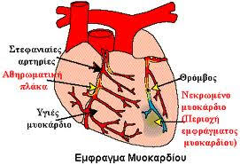 ( 1 ) σύμφωνα με την εβδομαδιαία έκθεση του cdc για την. Stefaniaia Nosos