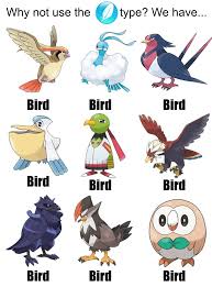 Here To Mock The Surplus Of Why Not Use This Type Memes Before You Angrily Comment That The Flying Type Has More Than Just Birds Please Read The Previous Sentence Mandjtv