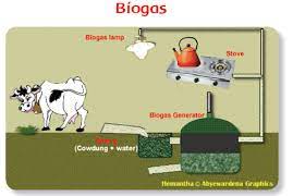 Kunci Jawaban Bacaan Biogas Kelas 3 Sd Gurune Net