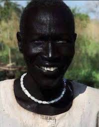 Mid Century Modern Furniture and Decor