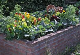 Hochbeet Anlegen Tipps Und Ratgeber Zum Hochbeet Obi Hochbeet Gartenteich Bepflanzen Hochbeet Bepflanzen