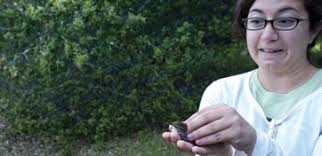 Jasper Ridge Biological Preserve