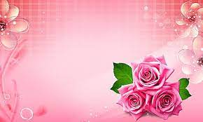 زهري تصميم الديكور زهرة الخلفية pink roses background beautiful pink roses rose background
