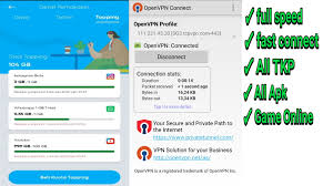 New Config Openvpn Ubah Topping Instagram Youtube By U Menjadi Reguler Klikinfo