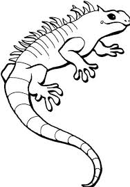 Free Printable Iguana Coloring Pages For Kids Snake Coloring Pages Coloring Pages Animal Coloring Pages