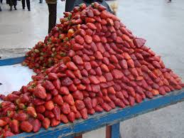 Food Caring Photograph By Myself Palestine West Bank Nablus Food Palestine West Bank