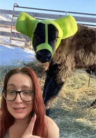 Vicky Downey Alaska Knitting Animals