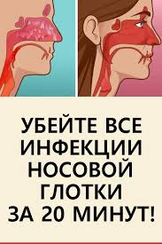 как избавиться от неприятного запаха изо рта из за желудка Zdorove V 2020 G Zhurnal O Zdorove Zdorove Trenirovka Vsego Tela