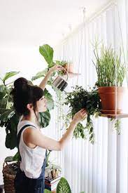 5x Leuke Ideeen Voor Hangplanten In Je Interieur Roomed Indoor Plant Care Plants Hanging Plants