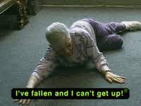 Life Of A Meme Gifs Get The Best Gif On Giphy
