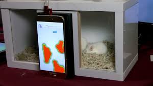 For an ultrasonic pest repeller to be effective, you need it to provide sufficient coverage. See Behind Walls With Walabot Youtube