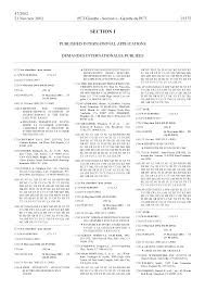 He was killed by wuyou. Http Www Wipo Int Edocs Pctdocs En 2002 Pct 2002 47 Section1 Pdf