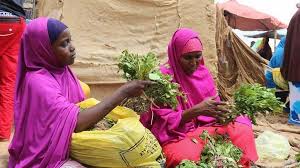 Hindi af somali cusub qiso jaceyl 2020 kaabil. Gabadh Jaad Gadida U Deysay Qisooyin Soo Maray Bbc News Somali