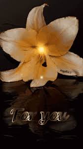 Image result for tbn:ANd9GcQzWo5lBIPWKebvy1oRkgh5c-dE8XiN3VXZR7m1YtZmdakAs_N-Mhco6w:http://www.cqham.ru/flower.gif