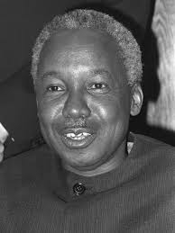 Vera Vee (@veravtz) • Instagram photos and videos