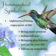 Hummingbird Spirit Animal Meaning Symbolism Spirit Animal Meaning Animal Meanings Hummingbird Spirit Animal