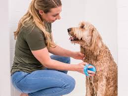 The vast majority of these shops can cost practically $50 per visit. Best Dog Grooming Supplies According To Professional Groomers