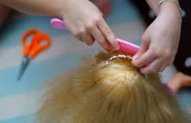 To get avoid of hair loss, use a soft towel to dry the hair and then gently comb it. How To Fix Vintage Doll Hair In Simple Steps Lovetoknow
