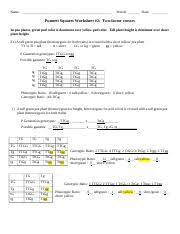 Predict the f2 offspring when the tall axial fl s are allowed to self pollinate. Punnett Square Worksheet 2 Two Factor Cross Worksheet Answer Key Name Period Date Punnett Squares Worksheet 2 Two Factor Crosses In Pea Plants Course Hero