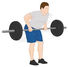 Knees are bent in effort to keep low back straight (see hamstring inflexibility). Bent Over Row Exercise Guide Tips Weight Training Exercises Fitstream