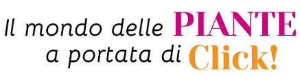 La selezione delle piante operata all'interno della nostra azienda è una pratica quotidiana di amore e passione, che garantisce la più alta qualità. Home Apulia Plants