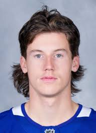 Blind River Beavers (NOJHL) Player Register at hockeydb.com