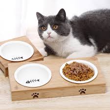 Double Single Dog Bowls For Pet Puppy Stainless Steel Bamboo Rack Food Water Bowl Feeder Pet Cats In 2020 Dog Bowls Cat Feeding Pet Puppy