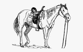 There's a great deal more to write, and as time passes, we'll add what we can. Quarter Horse Cliparts Horse And Dog Coloring Pages Free Transparent Clipart Clipartkey