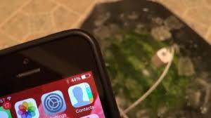 Have you ever thought of an apple, soda, potato, ginger, juices and or. Can A Watermelon Be Used To Charge A Cellphone What About Watermelon