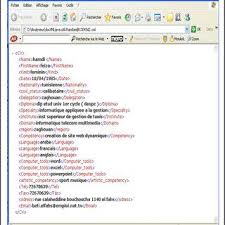 Depending on the employer and your specific situation, you may want to use a chronological, a functional, or a. Resume Xml Format Resume Templates
