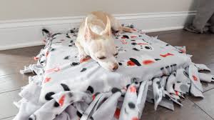 Maybe you would like to learn more about one of these? Diy No Sew Dog Bed An Easy Cheap And Fun Project For Your Pup