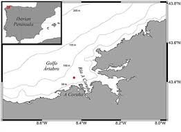 frontiers biological n2 fixation in the upwelling region