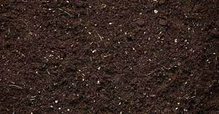We did not find results for: Potting Soil Monmouth Or Garden Organic Compost Marr Bros