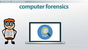 Computer forensic investigator, computer forensic specialist, forensic computer this becomes the responsibility of a forensic computer analyst. List Of The Best Computer Forensics Schools In The U S