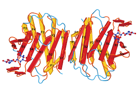 Galectins: Double-edged Swords in the Cross-roads of Pregnancy  Complications and Female Reproductive Tract Inflammation and Neop
