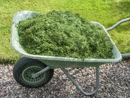 Hey, it's brad and susan from fix this build that! Grass Clipping Garden Mulch Using Fresh Or Dried Grass Clippings As Mulch