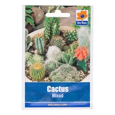 There are about 2000 types of. Mixed Cactus Seed Packet