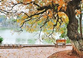 Sưu tầm những c&acirc;u n&oacute;i hay nhất về m&ugrave;a thu