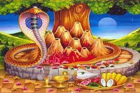 Worship snakes & get rid of kaal sarp dosh. Nag Panchami 2020 When Is It Celebrated And What Is The Significance Of Worshipping Snakes
