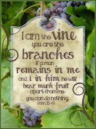 Discover And Share The Most Beautiful Images From Around The World Scripture Verses Word Of God Biblical Quotes
