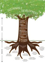 Forests In The Sustainable Development Goals In 2020 Sustainable Development Projects Sustainable Development Sustainable Development Goals