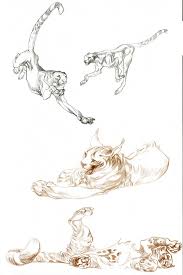 Pin By Kristal White On Drawing Animal Drawings Creature Design Drawings