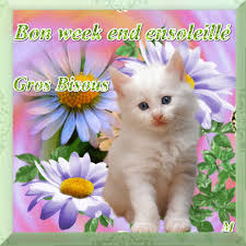 RÃ©sultat de recherche d'images pour "gif anime bon weekend"