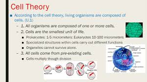We did not find results for: Topic 1 1 Introduction To Cells Ppt Download