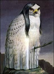 La Lechuza South American Folklore An Old Woman Witch That Can Turn Into A Huge Barn Owl And Swoo Mythical Creatures Mythological Creatures Legends And Myths Lechuza is a punk band from victoria texas. la lechuza south american folklore an