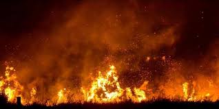 Our specialty is helping companies solve and overcome their crm and loyalty challenges. Incendio Em Campo Se Aproxima De Residenciais Em Xangri La