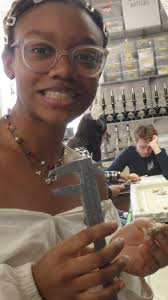 geographic information system