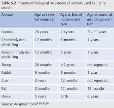 Animal cells have many different structures depending on their function. Differences Between Human And Animal Discs Pros And Cons Of Current Animal Models For Preclinical Development Of Biological Therapies For Low Back Pain Neupsy Key